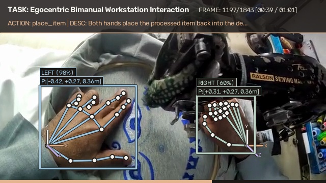 Both hands placing a processed item back into a workstation tray; the left hand tracked in cyan and the right in green, 21 joints each, frame 1197.